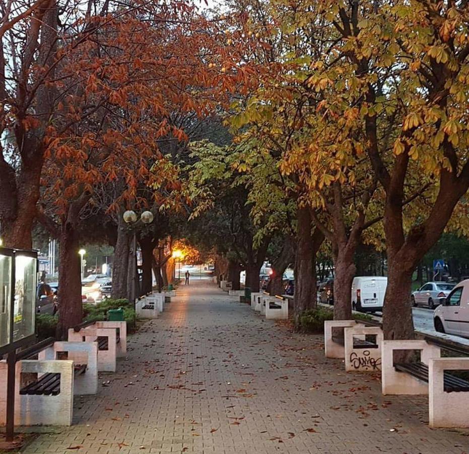 Apartment Botic Porec Bagian luar foto